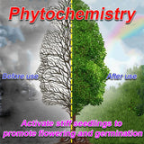 Optimized Product Title: "Pflanzen- & Blütenaktivator Flüssig – Fördert Stärkere Wurzeln & Reichhaltige Blüten für Gesunde Pflanzen" 

This title includes relevant keywords while enhancing clarity and appeal for potential buyers.