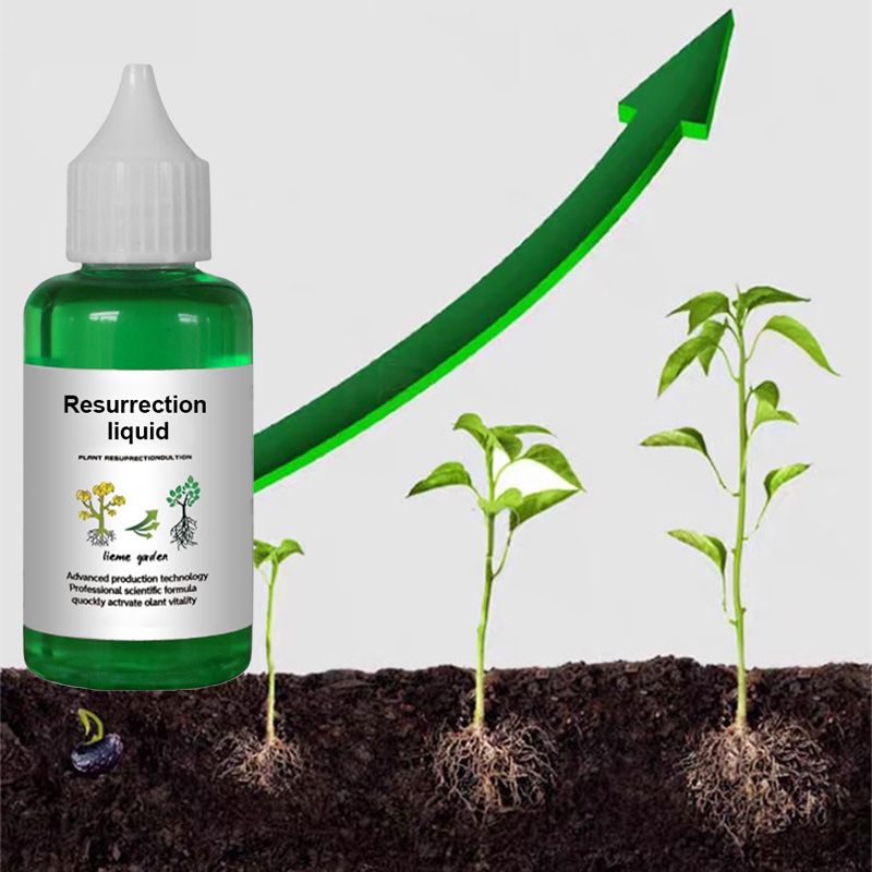 Optimized Product Title: "Pflanzen- & Blütenaktivator Flüssig – Fördert Stärkere Wurzeln & Reichhaltige Blüten für Gesunde Pflanzen" 

This title includes relevant keywords while enhancing clarity and appeal for potential buyers.