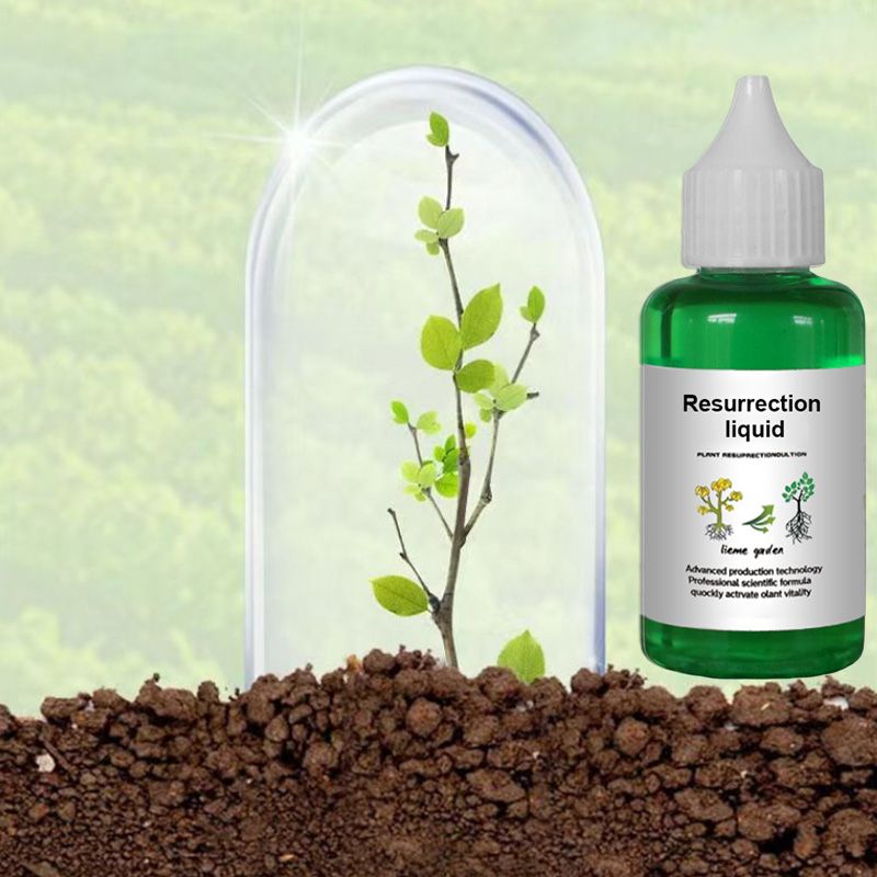 Optimized Product Title: "Pflanzen- & Blütenaktivator Flüssig – Fördert Stärkere Wurzeln & Reichhaltige Blüten für Gesunde Pflanzen" 

This title includes relevant keywords while enhancing clarity and appeal for potential buyers.