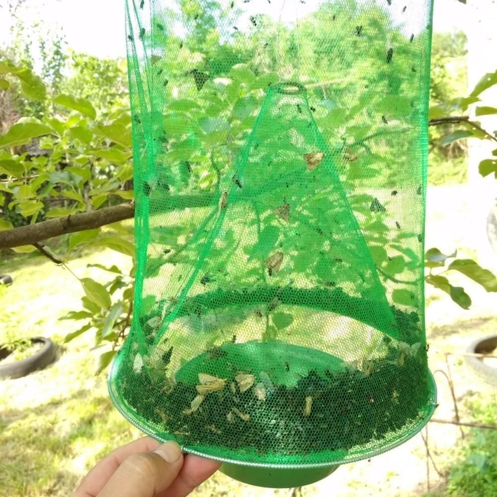 Reusable Wire Cage Fly Trap – Non-Toxic, 40,000 Capacity & Foldable