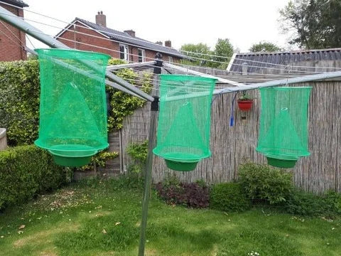 Reusable Wire Cage Fly Trap – Non-Toxic, 40,000 Capacity & Foldable