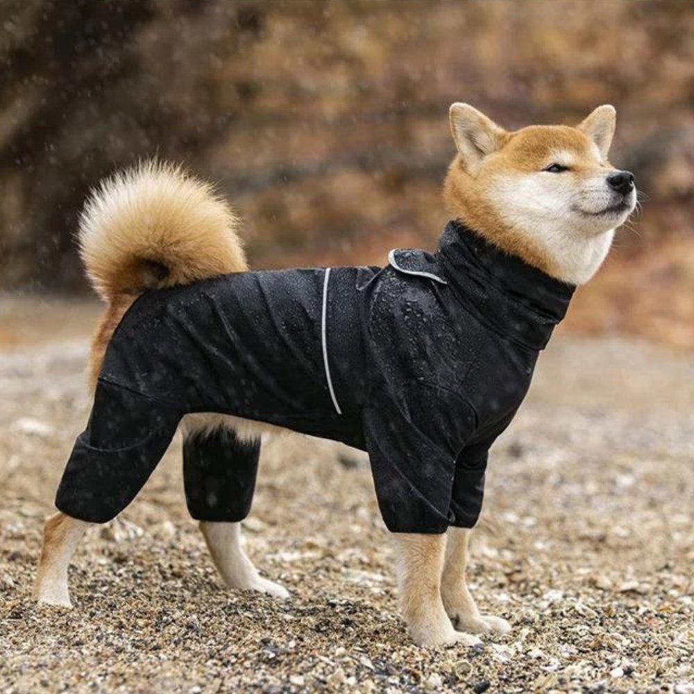 StormGuard Waterproof Dog Raincoat - Durable, Weatherproof Protection for All Breeds