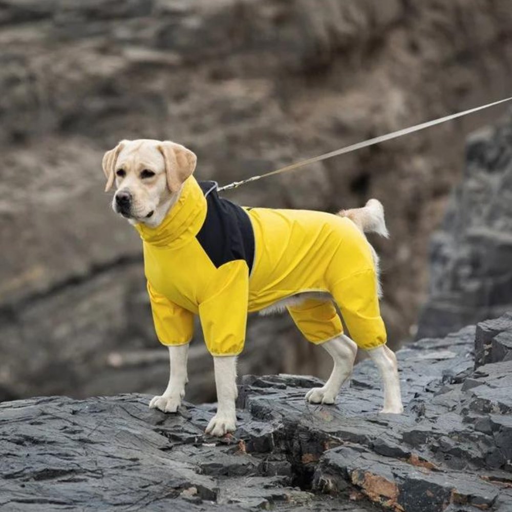StormGuard Waterproof Dog Raincoat - Durable, Weatherproof Protection for All Breeds