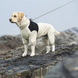 StormGuard Waterproof Dog Raincoat - Durable, Weatherproof Protection for All Breeds