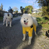 StormGuard Waterproof Dog Raincoat - Durable, Weatherproof Protection for All Breeds