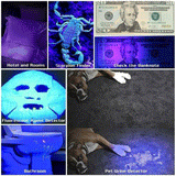 UV Flashlight 395nm – Aluminum Alloy, IPX4 Waterproof & 21/51/100 LEDs