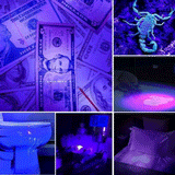 UV Flashlight 395nm – Aluminum Alloy, IPX4 Waterproof & 21/51/100 LEDs