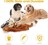 Eco-Friendly Squeaky Dog Toy Set - 5 Durable & Sustainable Toys for Happy Pups