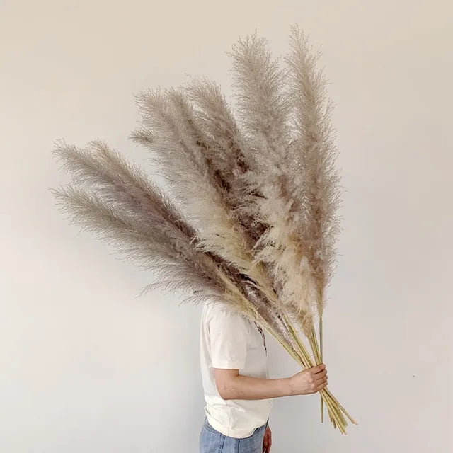 Enhanced Product Title: "Sylara Dried Pampas Grass - Elegant Boho Home Decor & Wall Display Accent - Perfect for Weddings & Events" 

This title includes relevant keywords for better visibility while highlighting the product's versatility and appeal.