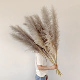 Enhanced Product Title: "Sylara Dried Pampas Grass - Elegant Boho Home Decor & Wall Display Accent - Perfect for Weddings & Events" 

This title includes relevant keywords for better visibility while highlighting the product's versatility and appeal.