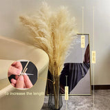 Enhanced Product Title: "Sylara Dried Pampas Grass - Elegant Boho Home Decor & Wall Display Accent - Perfect for Weddings & Events" 

This title includes relevant keywords for better visibility while highlighting the product's versatility and appeal.