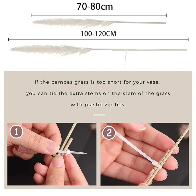 Enhanced Product Title: "Sylara Dried Pampas Grass - Elegant Boho Home Decor & Wall Display Accent - Perfect for Weddings & Events" 

This title includes relevant keywords for better visibility while highlighting the product's versatility and appeal.