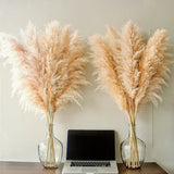 Enhanced Product Title: "Sylara Dried Pampas Grass - Elegant Boho Home Decor & Wall Display Accent - Perfect for Weddings & Events" 

This title includes relevant keywords for better visibility while highlighting the product's versatility and appeal.