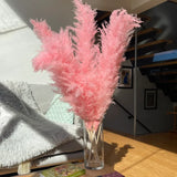 Enhanced Product Title: "Sylara Dried Pampas Grass - Elegant Boho Home Decor & Wall Display Accent - Perfect for Weddings & Events" 

This title includes relevant keywords for better visibility while highlighting the product's versatility and appeal.