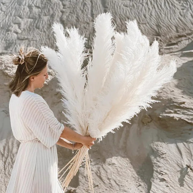 Enhanced Product Title: "Sylara Dried Pampas Grass - Elegant Boho Home Decor & Wall Display Accent - Perfect for Weddings & Events" 

This title includes relevant keywords for better visibility while highlighting the product's versatility and appeal.