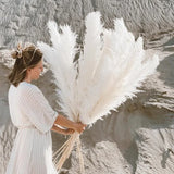 Enhanced Product Title: "Sylara Dried Pampas Grass - Elegant Boho Home Decor & Wall Display Accent - Perfect for Weddings & Events" 

This title includes relevant keywords for better visibility while highlighting the product's versatility and appeal.