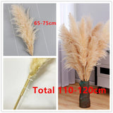 Enhanced Product Title: "Sylara Dried Pampas Grass - Elegant Boho Home Decor & Wall Display Accent - Perfect for Weddings & Events" 

This title includes relevant keywords for better visibility while highlighting the product's versatility and appeal.