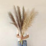Enhanced Product Title: "Sylara Dried Pampas Grass - Elegant Boho Home Decor & Wall Display Accent - Perfect for Weddings & Events" 

This title includes relevant keywords for better visibility while highlighting the product's versatility and appeal.