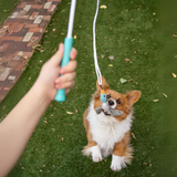 Tail Teaser Dog Play Stick - Interactive Toy for Fun & Exercise | Ideal for All Breeds!