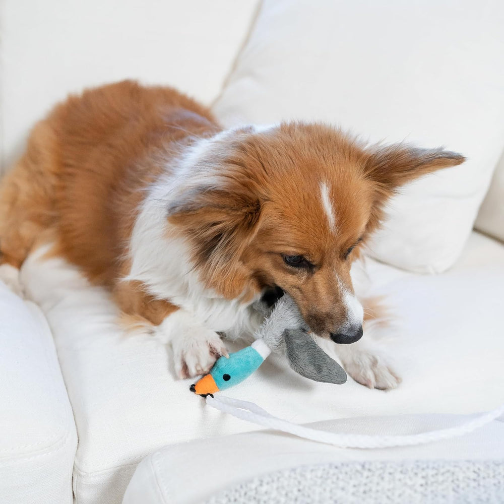 Tail Teaser Dog Play Stick - Interactive Toy for Fun & Exercise | Ideal for All Breeds!