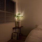 Wall Sconce Battery Operated Modern Adjustable LED Spotlight