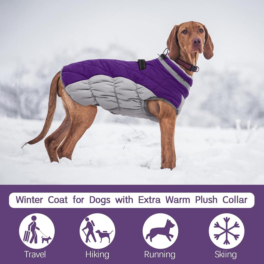 Cozy Winter Dog Jacket with Integrated Harness - Warm & Durable Pet Coat for Cold Weather