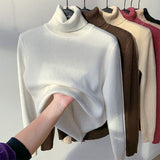 Winter Fleece Knitted Turtleneck – Evelyne