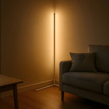 LED Corner Floor Lamp – Dimmable, Remote Control, 3 Color Temperatures, 142cm